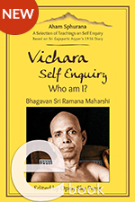 E-Book